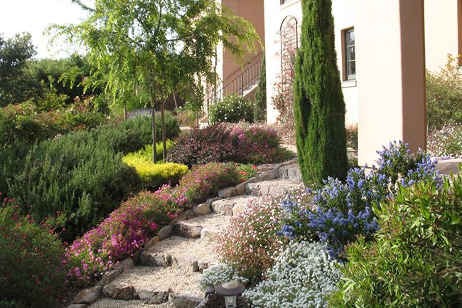 Order and Exuberance in a Hillside Garden